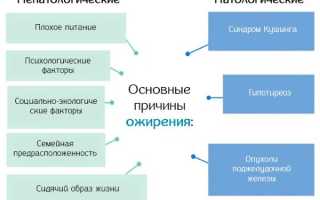 Преследует запах чеснока