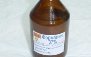 Как и чем лучше обработать обувь от грибка в домашних условиях
