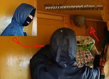 что одеть, чтобы не покусали осы