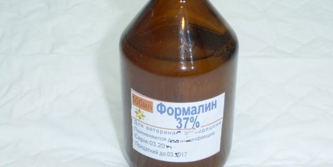 Формалин в бутылочке