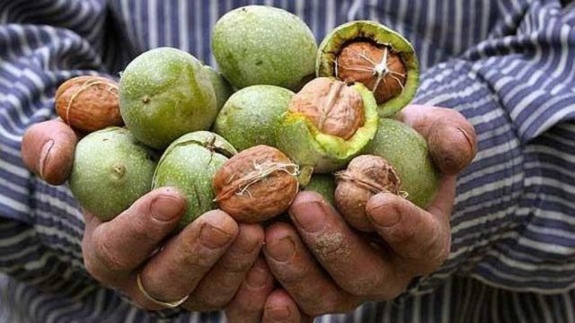 Как и чем отмыть руки от грецких орехов: эффективные способы