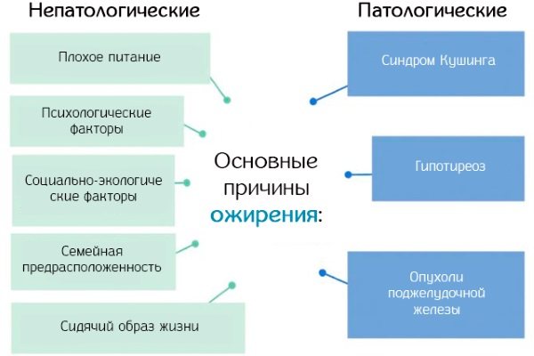 Пот пахнет чесноком у женщин, мужчин. Причины