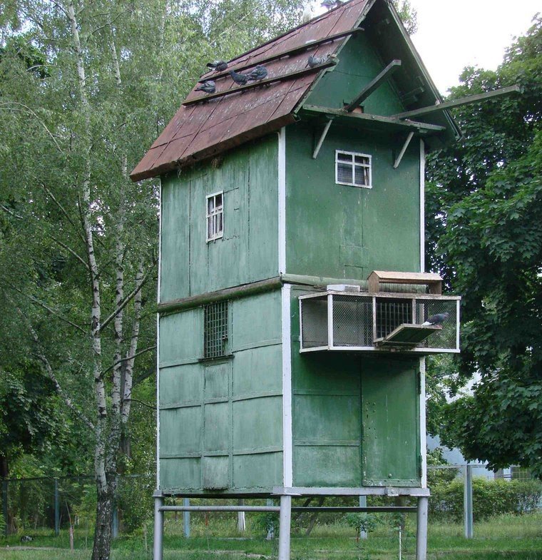 Башенная голубятня