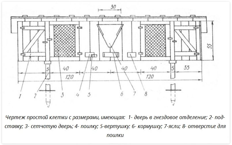 Чертёж одноярусной клетки для кроликов из дерева