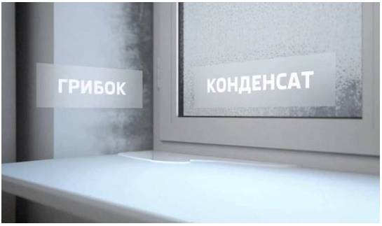 Конденсат на стеклах