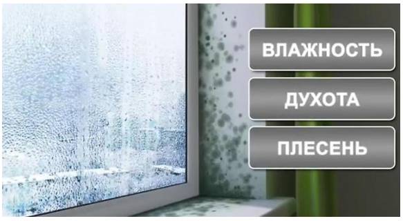 Конденсат на стеклах