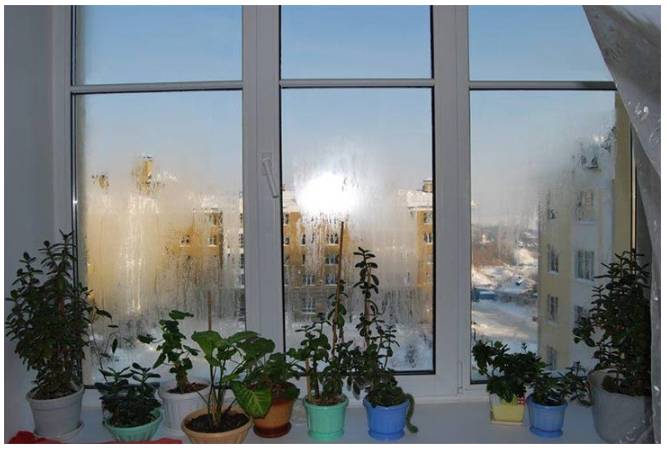 Конденсат на стеклах