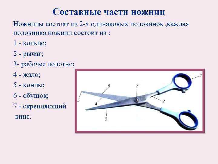 Составные части ножниц