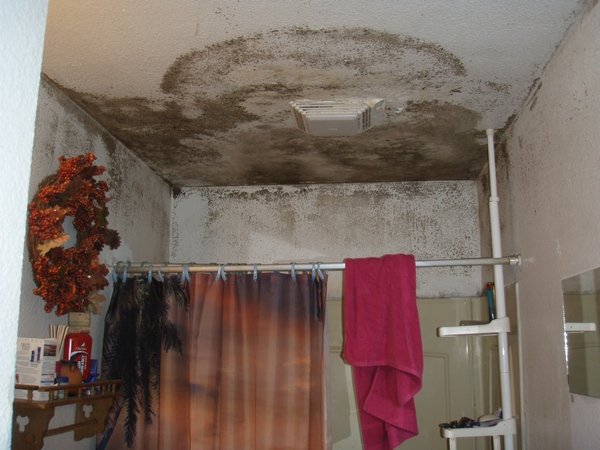 На фото - плесень в ванной комнате, tribalhealthyhomes.org