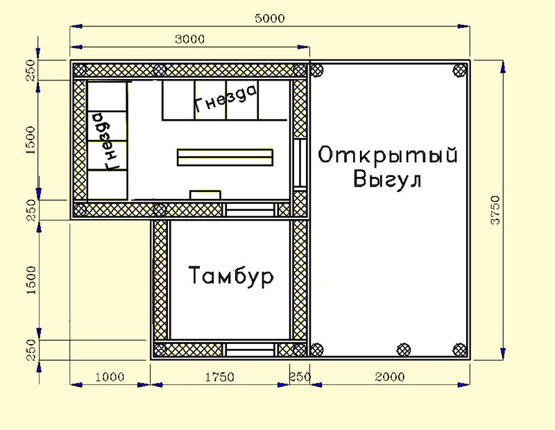 Схема птичника на 10–12 уток