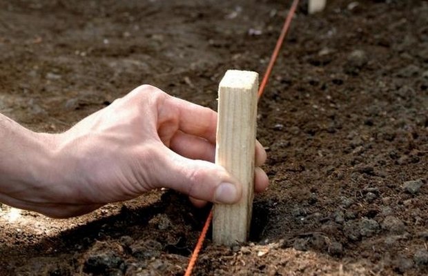 Готовим участок – первый и очень важный шаг Готовим участок – первый и очень важный шаг